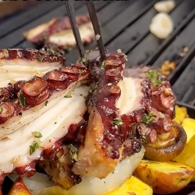 Octopus.